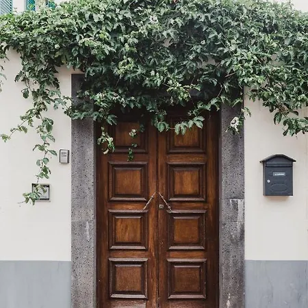 Jaca 波尔图达克鲁斯